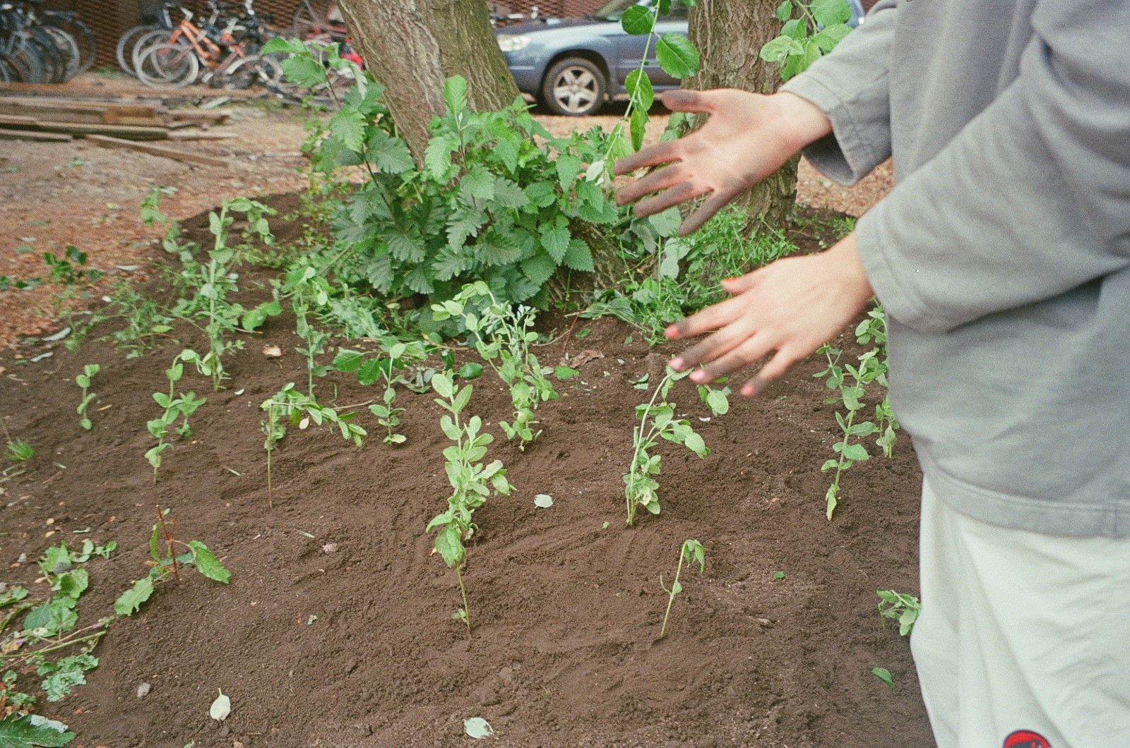 Main Project Image